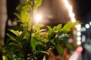 IMG_20200824_141627_076
